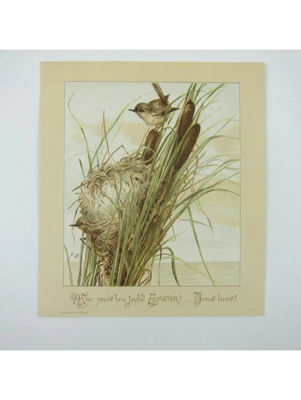 Victorian Easter Greeting Card Birds Nest in Cattails Yellow Green Antique 1884